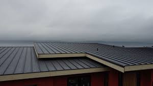 Best Emergency Roof Repair Services  in Holloman Af, NM